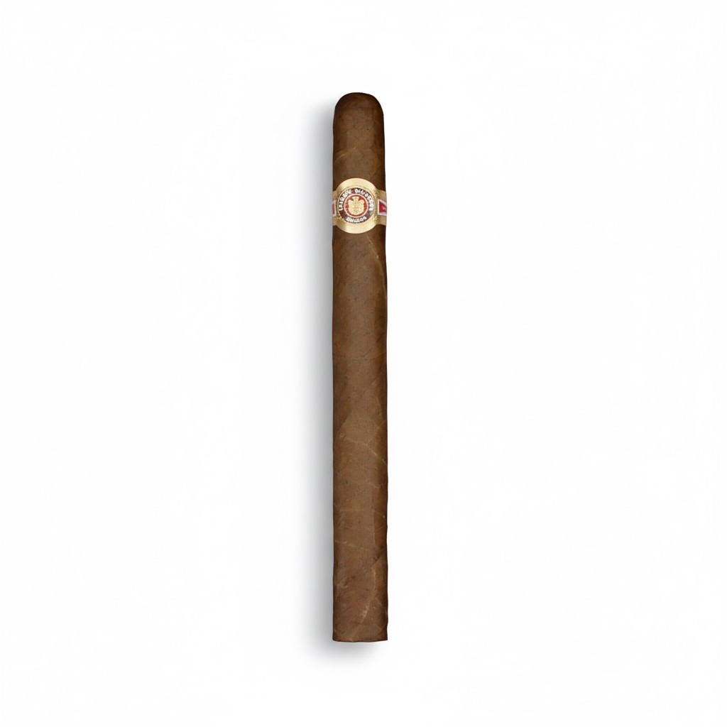 Ramon Allones Gigantes - Single Cigar