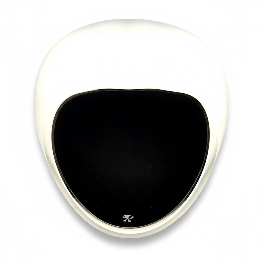 Ashtray - Czevitrum Salamander Large Black - 3 Cigars