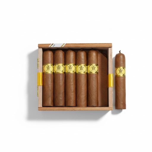 [16989] Trinidad Vigia Aged 2018 - Box Of 12 Cigars