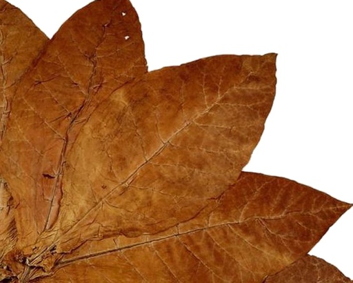 [9486] Pipe Tobacco - Vb No. 1 Aromatic Red - Tube Of 100g